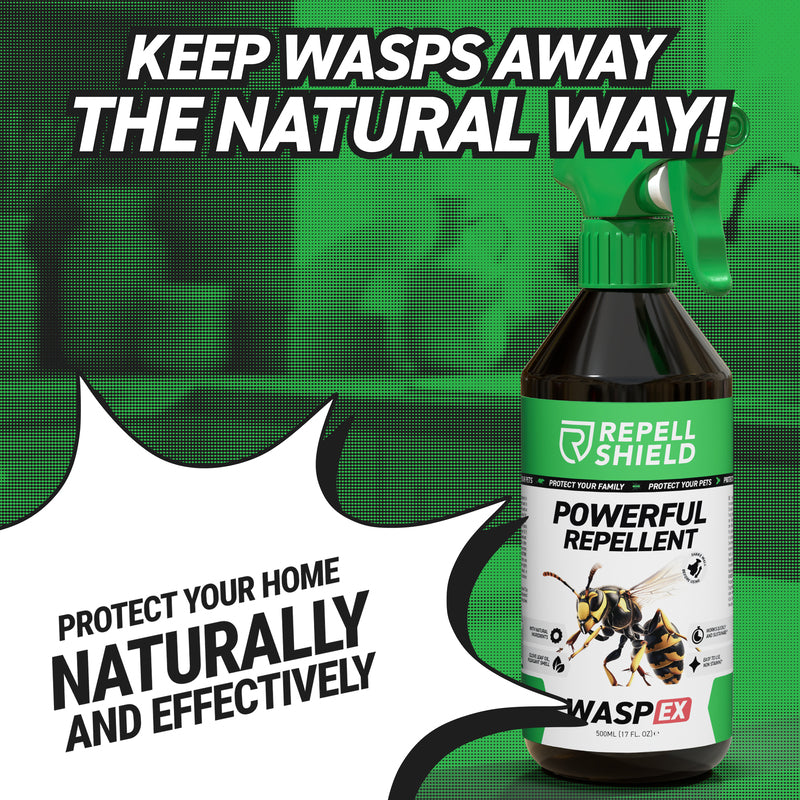 WaspEx