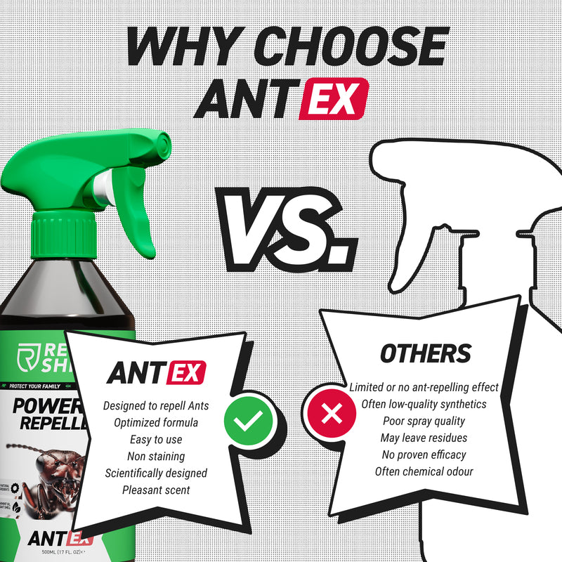AntEx