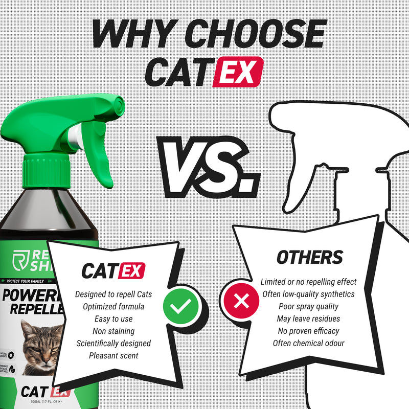 CatEx