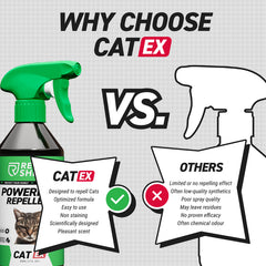 CatEx Thumbnail