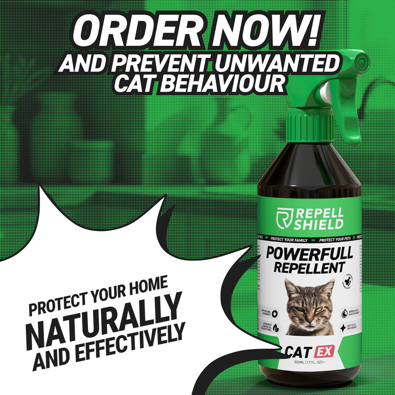 CatEx