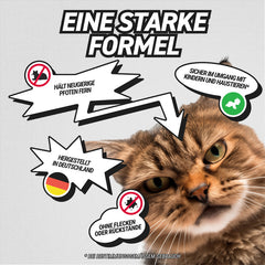 CatEx Thumbnail
