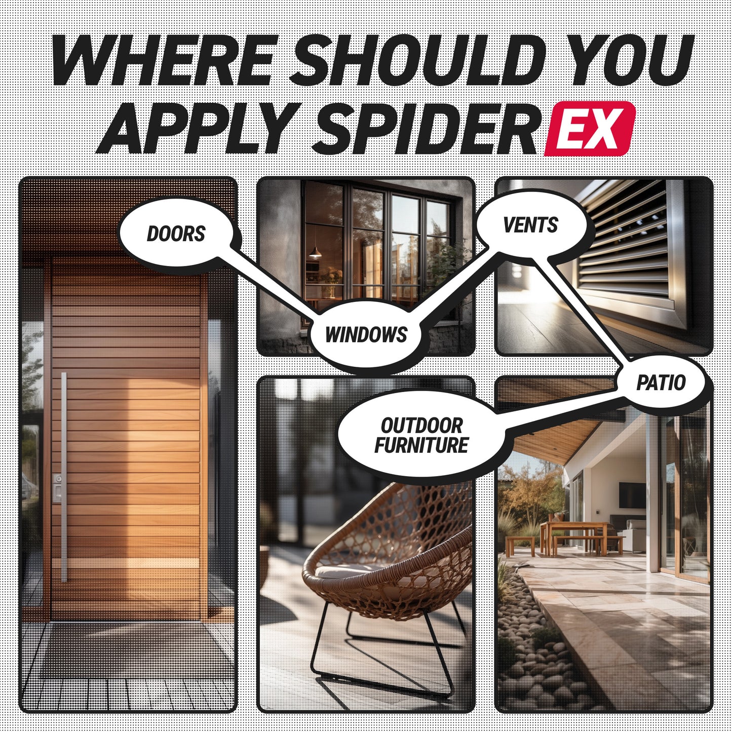 SpiderEx