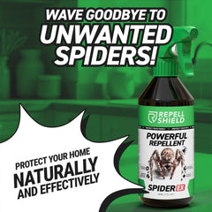 SpiderEx Thumbnail