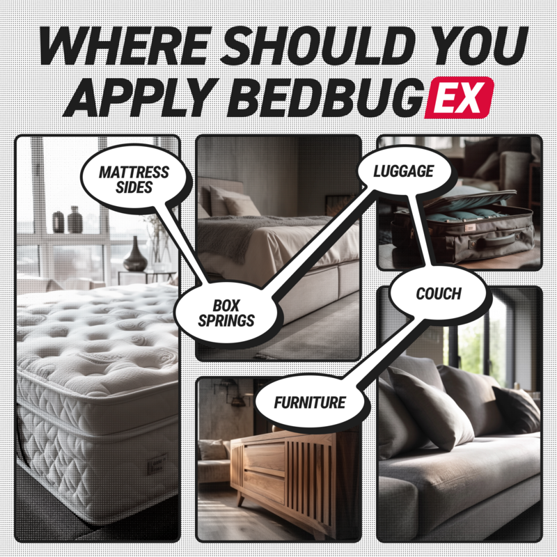 BedBugEx