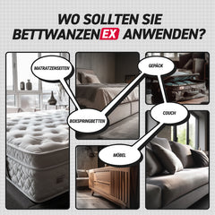 BedBugEx Thumbnail