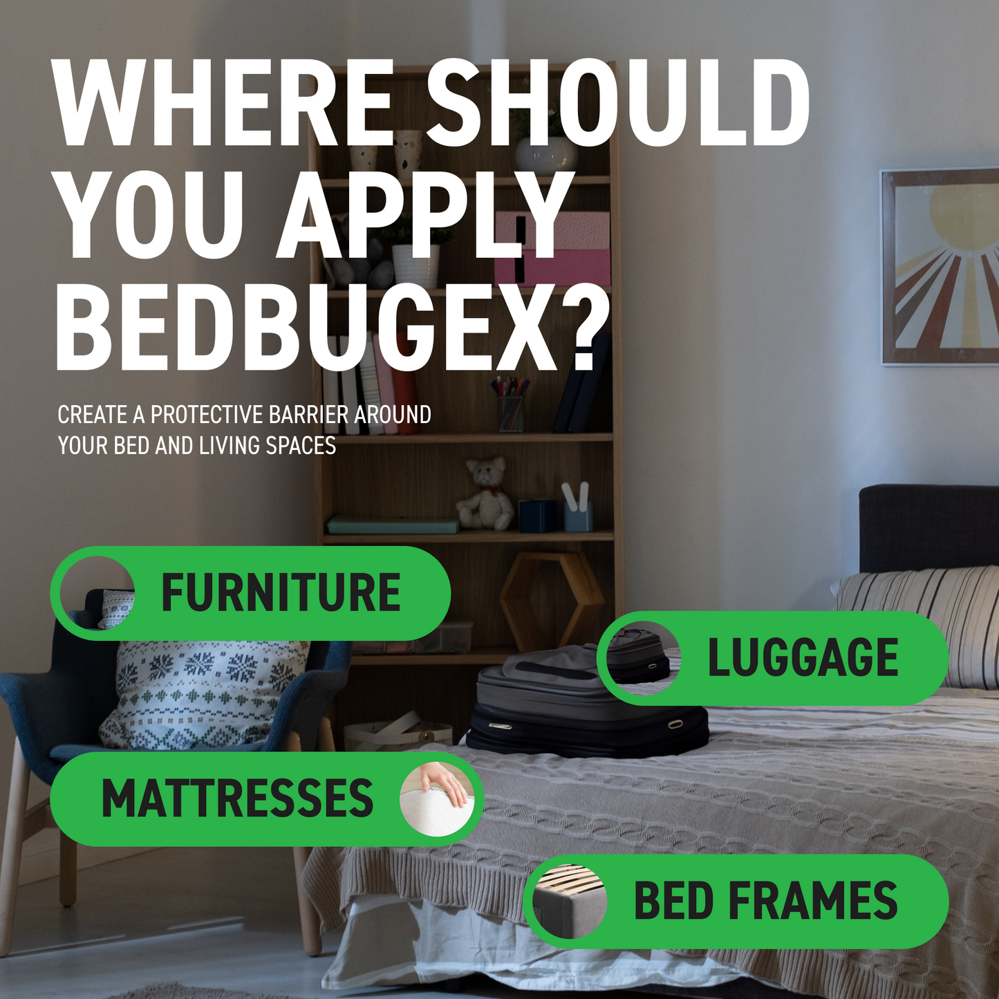 BedBugEx