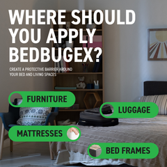 BedBugEx Thumbnail