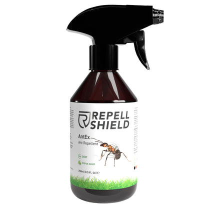 Ant Spray