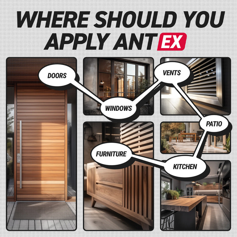 AntEx