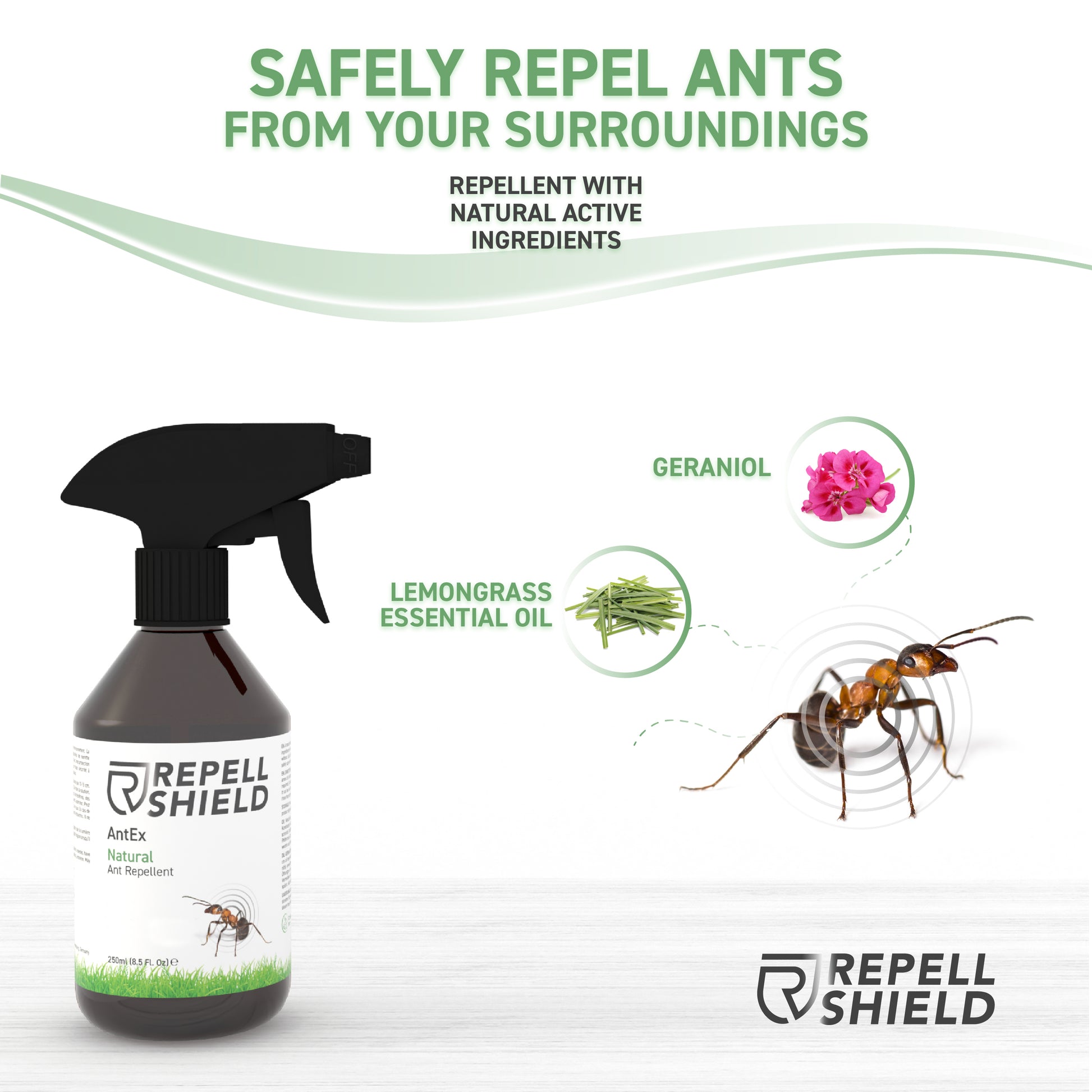 RepellShield Natural Remedy Against Ants Ingredients