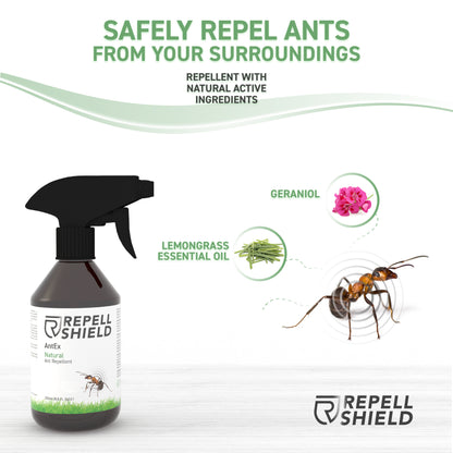 RepellShield Natural Remedy Against Ants Ingredients