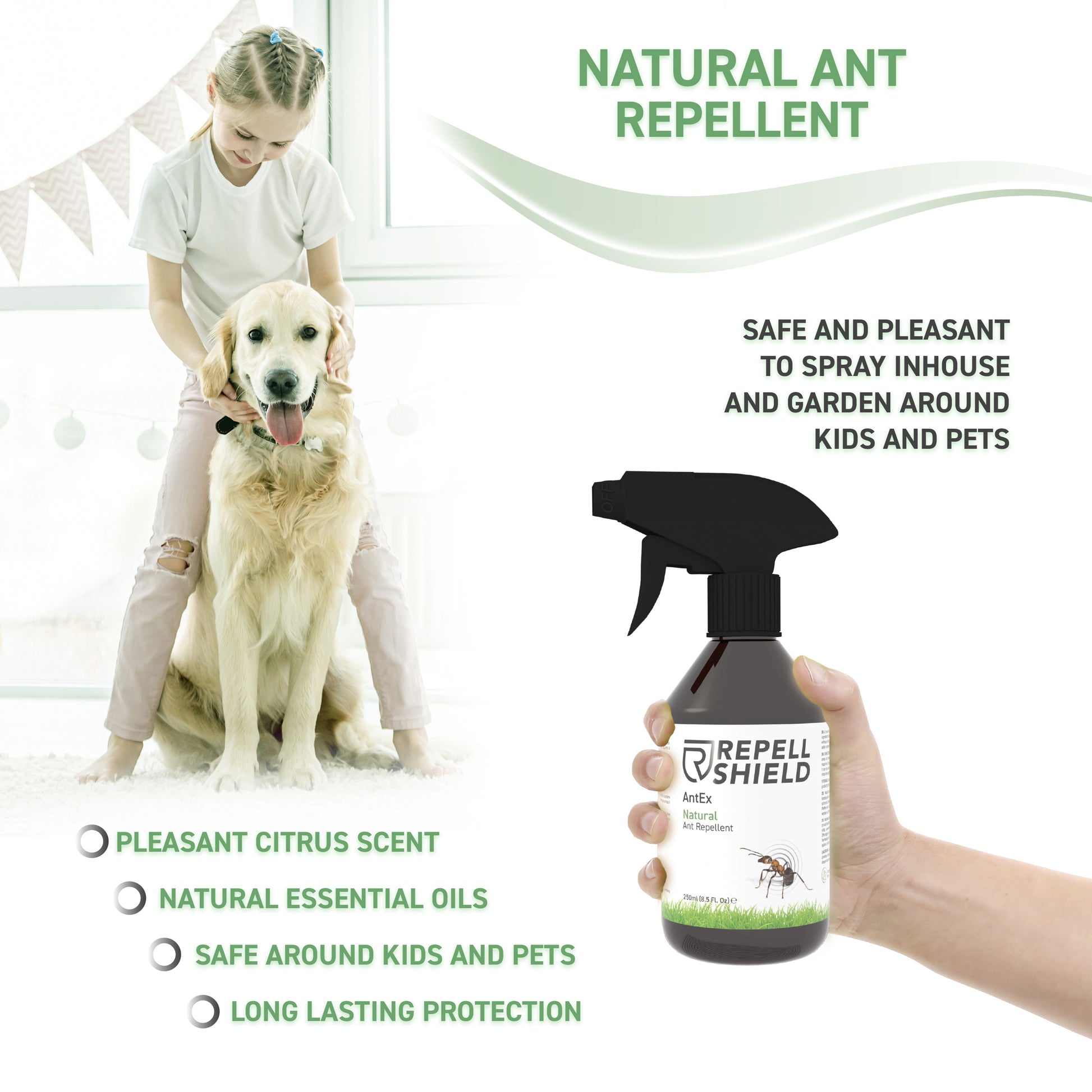 Natural Remedy Against Ants