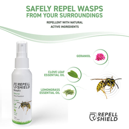 RepellShield Natural Wasp Spray Repellent